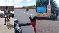 Young man rides bicycle from one state to another to mark Christmas, spends 13 hours on road