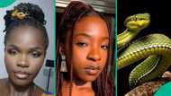 Ifunanya Nwangene: Lady mentions name of exact kind of snake that killed talented singer at her home
