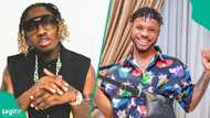 Zlatan Ibile reacts after Poco Lee’s management set the record straight on dancer’s UK case