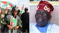 2023 presidency: APC BoT member dumps Tinubu, declares support for Peter Obi