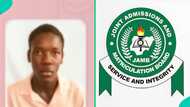 JAMB 2026: Ogun school displays UTME results as 28 students score over 300, top scorer gets 354