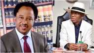 “I don’t think Tinubu means well”: Shehu Sani reacts to El-Rufai’s ministerial nomination