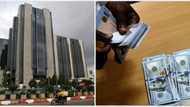 CBN gives Access, Zenith, GTB, others 4 new directives on domiciliary bank accounts