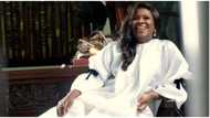 The big 60: Nollywood veteran Joke Silva celebrates birthday with elegant photo, emotional message