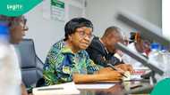 Food safety guidelines: NAFDAC DG tackles Nigerians, "You're ignorant"