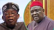 Ohanaeze Ndigbo speaks on why Igbos will not participate in nationwide protest against Tinubu's govt