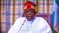 Bola Tinubu ya fadawa gwamnoni mafita game da rikicin manoma da makiyaya