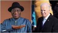 This is what I expect from you - Goodluck Jonathan sends message to President Biden