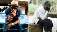 Breakfast na national cake: Reactions as Timaya seals his heart from love after 3 baby mamas, 4 kids