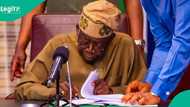 Just In: Tinubu removes Ganduje's top ally as chairman of BUK governing council
