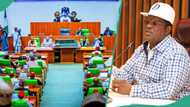 Reps blast Minister of Works Umahi over bad roads, video trends: “You have failed”