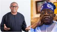 Tinubu: Yoruba Council of Elders blasts Adebanjo, says “Obi’s endorsement without Fasoranti’s approval fake”