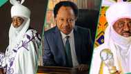 Sanusi Vs Bayero: Shehu Sani proposes solution to Kano emirate tussle