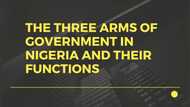 The three arms of government in Nigeria and their functions