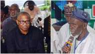 Lamidi Apapa breaks silence on allegation he approached court to withdraw Peter Obi’s cases against Tinubu