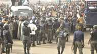 Fitaccen ɗan daban da ya gawurta a Kano ya shiga hannu