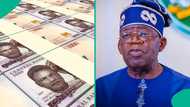 Tinubu to receive over $9.5m looted funds from abroad, mentions how it will be spent