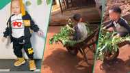 Nigerian mum cries out, shares video of what her son looked like after taking him to grandma's place
