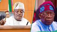 Did Tinubu order Lagos lawmakers to reinstate impeached speaker Obasa? Fresh updates emerge