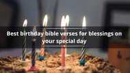 50 best birthday bible verses for blessings on your special day