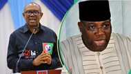 Okupe spits fire, predicts more defections from LP, uncovers what Peter Obi may do next