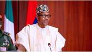 FG used almost all its N1.84 trillion revenue to pay off debt, new report says