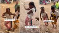 Little kid dances in front of DJ, shows different TikTok moves, surprises adults with her energy