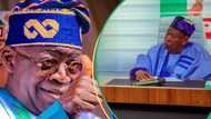APC reacts as Supreme Court affirms Tinubu’s victory