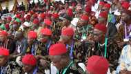 APC chieftain reveals the only factor that will ensure emergence of Igbo president in 2023