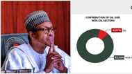 Oil, agriculture missing: Top 10 fastest growing sectors in final phase of Buhari's administration emerge