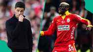 Victor Osimhen: Turkish pundit discloses how much salary Arsenal needs to convince him