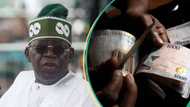 “N771/$”: Naira reacts at official market as tribunal rules in Tinubu’s favour