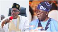 2023 presidency: Northern governor reveals what would have happened to Tinubu if he's in PDP