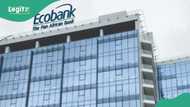 Ecobank, Verve unveil N20m youth grant: How Nigerians aged 16–25 can apply