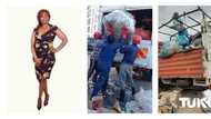 Young mother narrates journey from garbage collector to owning garbage trucks