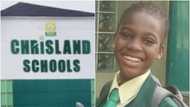 Whitney Adeniran: Arraignment of Chrisland principal, 4 staff begins