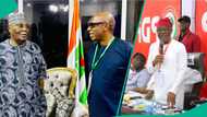 Wike takes fresh swipe at Atiku, Amaechi: "He is now broke"