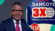 Dangote Cement’s net income quadruples to N309 billion, surpasses market expectations