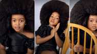 "I want a daughter like this": Gorgeous little girl with full hair poses for photoshoot, video goes viral