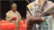 Uba Sani secures Senate backing for Naira redesign, top agenda revealed