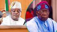 Lagos lawmakers ignore Obasa, pledge loyalty, support for Tinubu’s govt, reason emerges