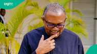 Peter Obi will defect to APC, Tinubu’s aide declares in trending video