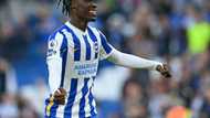 Tottenham sign Bissouma from Brighton