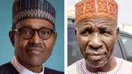 Buhari's former ally throws bombshell over convoy attack, terrorists' threats against Nigeria's number 1 man