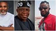 "Rub your bleaching cream and leave us": Zack Orji, Benedict Johnson trolled as they campaign for Tinubu