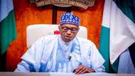 Fake doctorate? Another Buhari's appointee in big trouble as PMB orders ICPC to go after him