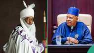 Shettima ignores Sanusi as he mentions Obasanjo, Atiku, other guests at Kwankwaso’s daughter’s wedding