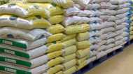 Trouble as foreign rice resurface in Nigerian markets, processors, farmers in pains