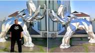 “Elephant of the industry”: Don Jazzy buys himself shiny life-sized elephant as Christmas gift, photos trend