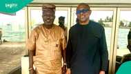 'Not our member,’ Drama as LP disowns Arabambi over suit seeking release of Peter Obi’s academic records